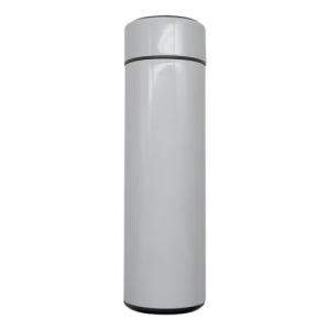 Temperature water bottle